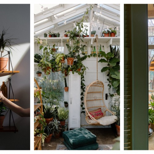 10 Plant Nurseries in Klang Valley for All Your Indoor And Outdoor Plant Needs