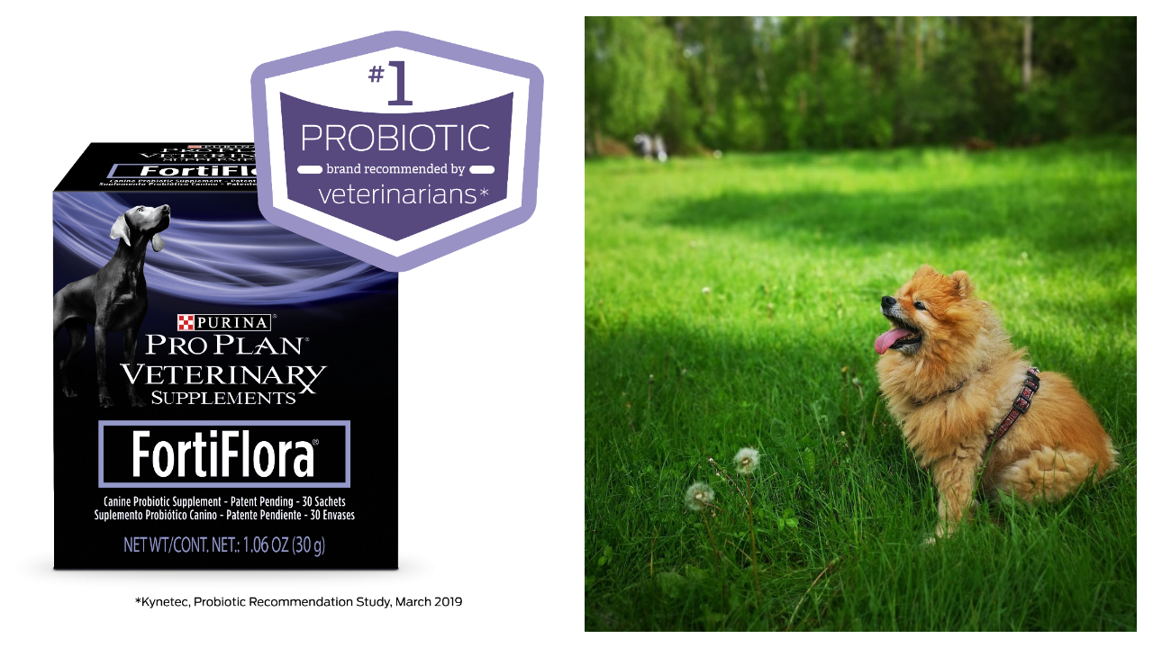 Purina Pro Plan Veterinary Supplements FortiFlora Canine