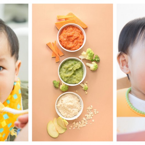 5 Best Tasty and Healthy Puree Brands For Your Baby
