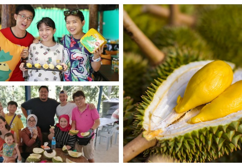 5 Durian Stalls in Malaysia for You To Enjoy The Fresh and Creamy Durians