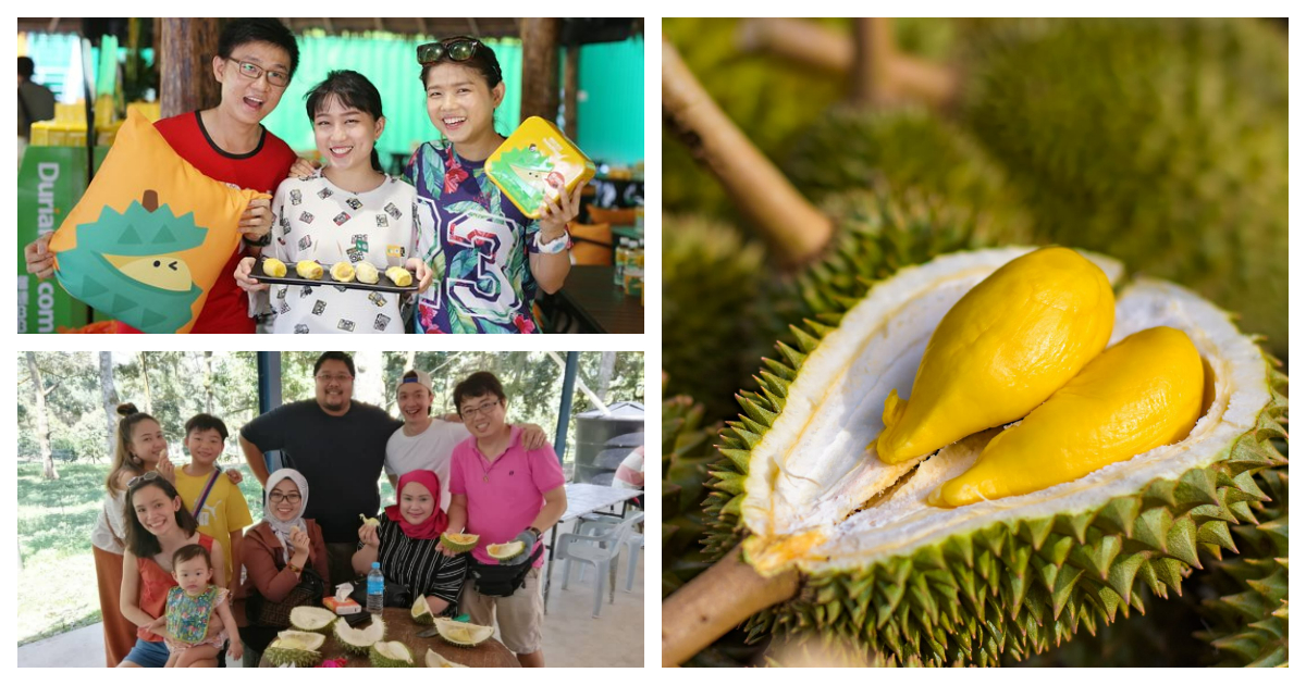 5 Durian Stalls in Malaysia for You To Enjoy The Fresh and Creamy Durians