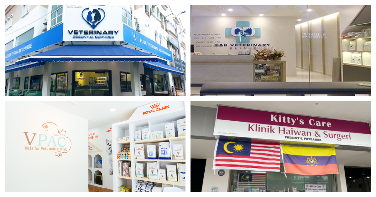 Caring for Your Pets: 5 Top-Rated Vet Clinics in KL and PJ You Can Trust