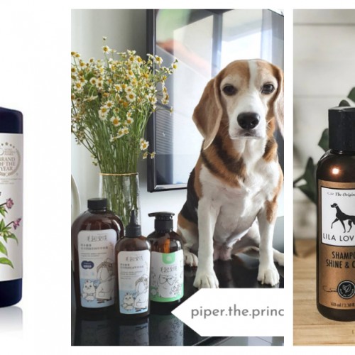 Finding the Ideal Dog Shampoos in Malaysia: A Guide to Targeted Skin Care Solutions