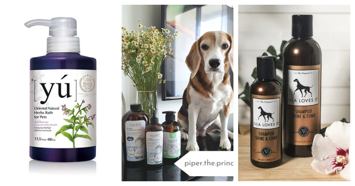 Finding the Ideal Dog Shampoos in Malaysia: A Guide to Targeted Skin Care Solutions