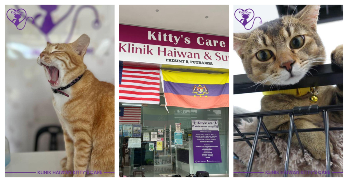 Kitty’s Care Veterinary Clinic, Putrajaya