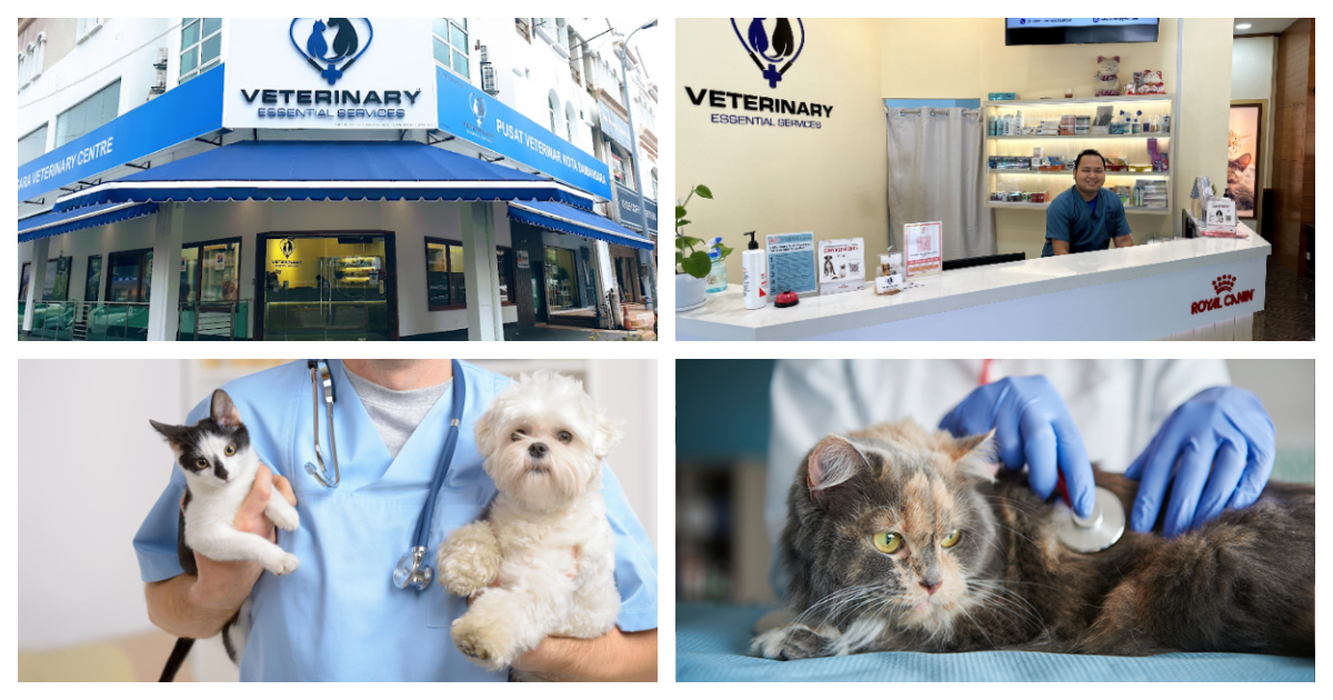 Veterinary Essential Services, Kota Damansara