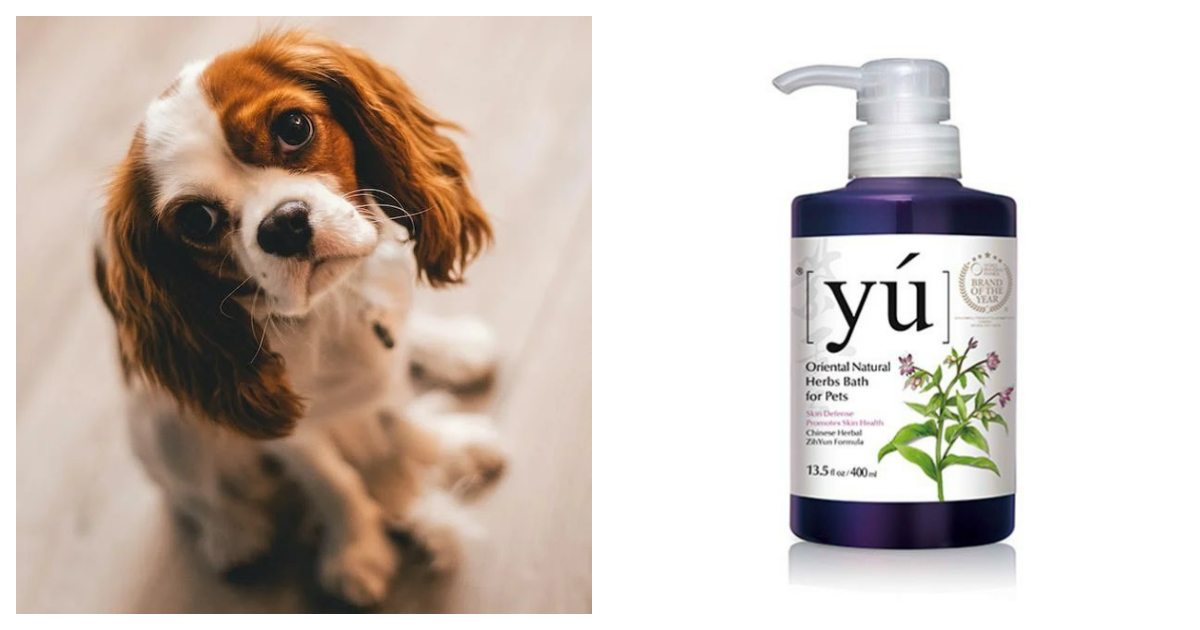 YU Skin Defense/ Promotes Skin Health Chinese Herbal ZhiYun Formula