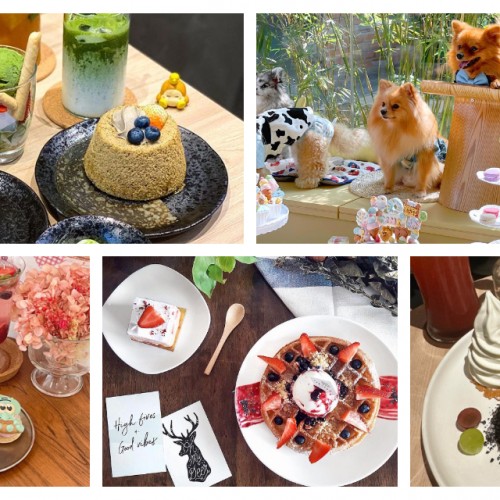 Sweet Delights in Petaling Jaya: 5 New Dessert Cafes You Can’t Miss