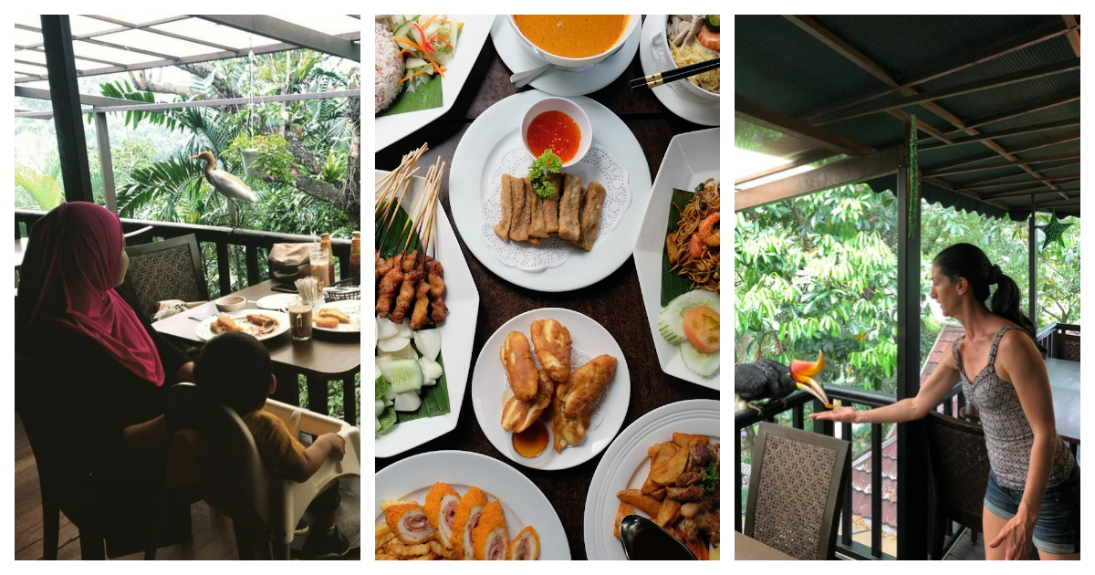 Hornbill Restaurant & Café @ Perdana Botanical Garden
