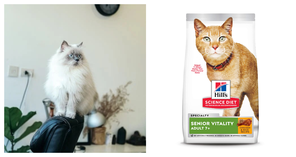 Hill's Science Diet Adult 7+ Youthful Vitality Chicken & Rice Recipe Cat Food