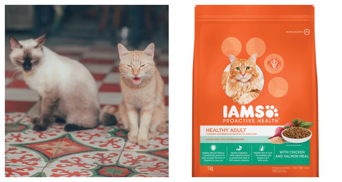 IAMS Proactive Health Adult With Chicken And Salmon Meal