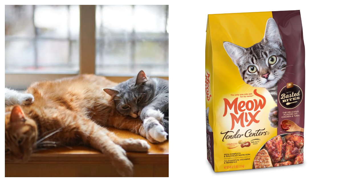 Meow Mix Tender Centers Basted Bites Chicken & Tuna Flavors Dry Cat Food