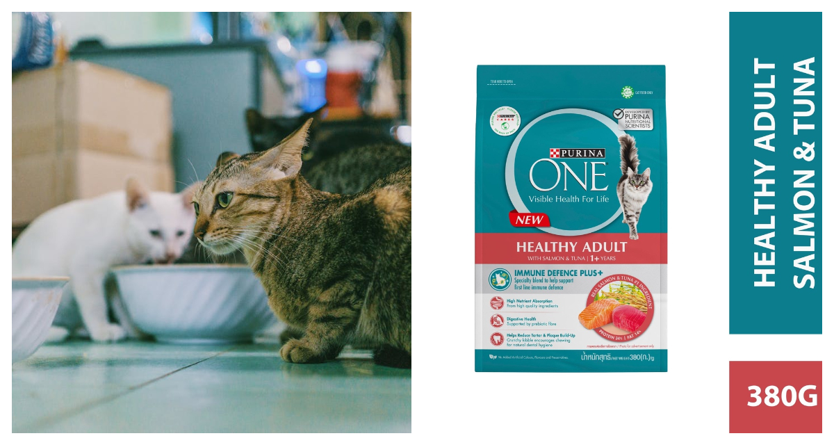 Purina One Healthy Adult with Salmon and Tuna Dry Cat Food