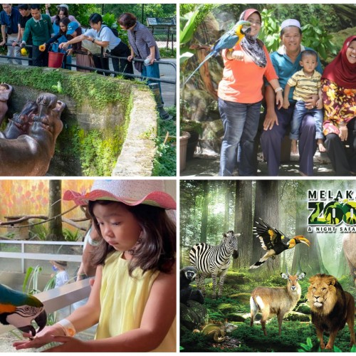 Kembara Hidupan Liar di Malaysia: Zoo dan Taman Paling Menarik untuk Keluarga Semasa Cuti Sekolah