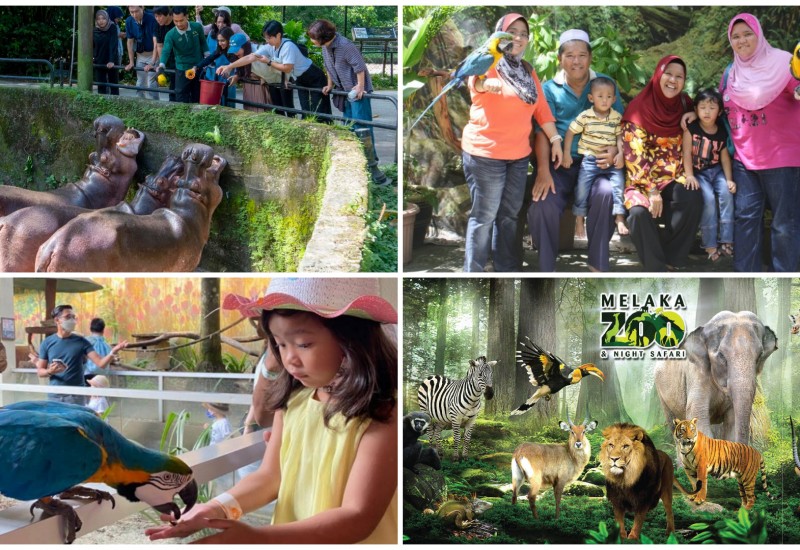 Kembara Hidupan Liar di Malaysia: Zoo dan Taman Paling Menarik untuk Keluarga Semasa Cuti Sekolah