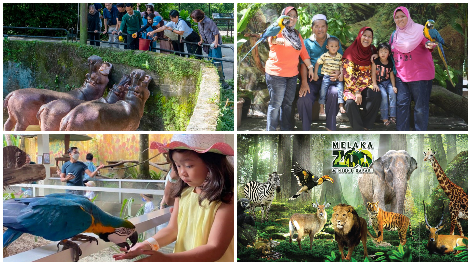 Kembara Hidupan Liar di Malaysia: Zoo dan Taman Paling Menarik untuk Keluarga Semasa Cuti Sekolah