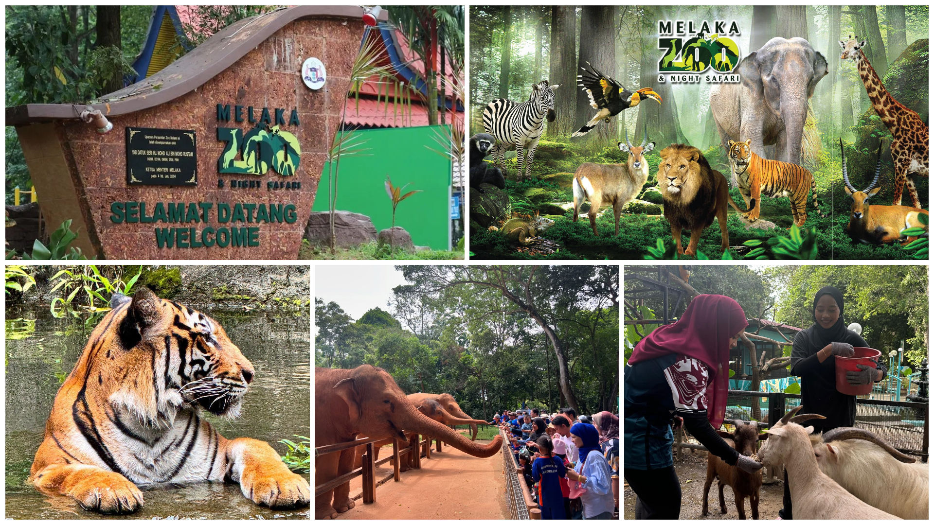 Zoo Melaka