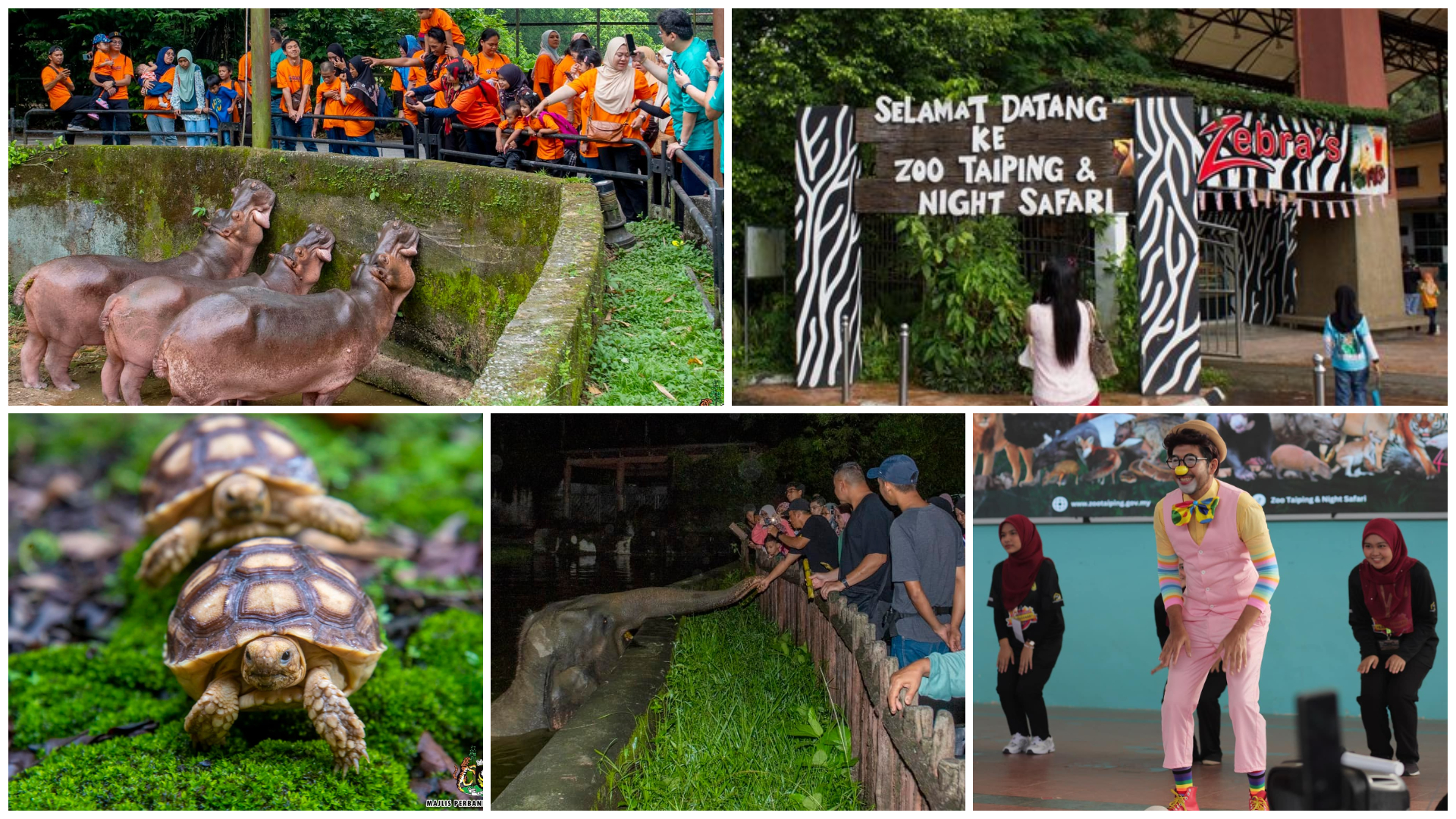 Zoo Taiping & Night Safari